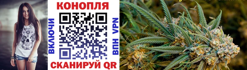 МАРИХУАНА гибрид  Купить где  Подольск 